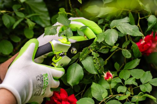 STALCO GARDEN Metszőolló STR 