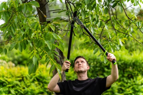 STALCO GARDEN Ágvágó 790 mm STR 