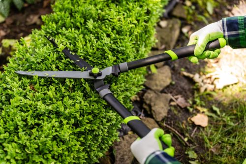 STALCO GARDEN Sövényvágó 630mm STR 