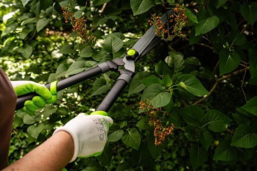 STALCO GARDEN Sövényvágó 630mm STR 