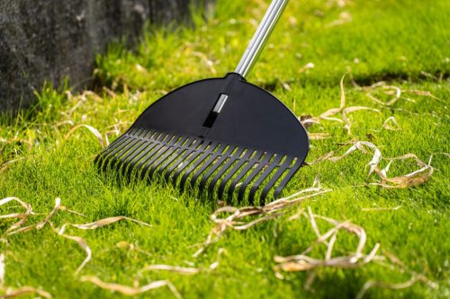 STALCO GARDEN Levélgereblye 50cm EXP 