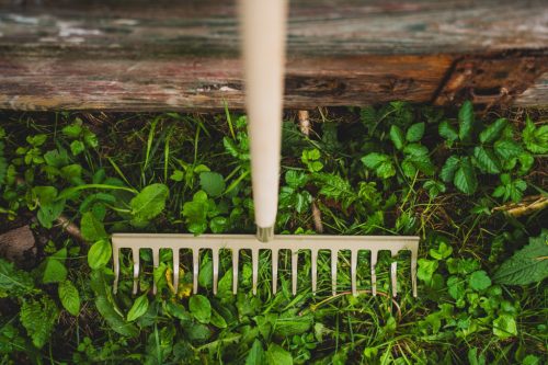 STALCO GARDEN Hagyományos gereblye 12 fogas 