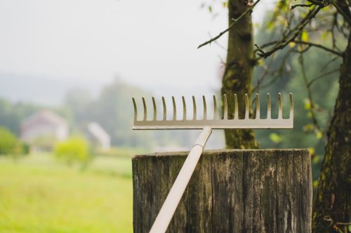 STALCO GARDEN Hagyományos gereblye 12 fogas 