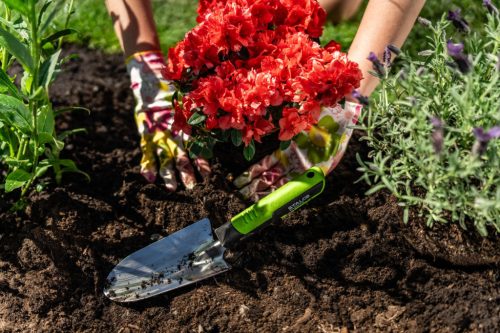 STALCO GARDEN Ültető ásó széles XTR 